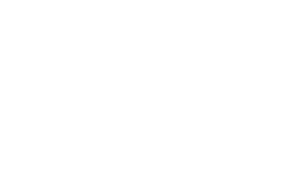 SOX Wedding Planner